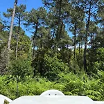 Hébergement de vacances Bluegreen *