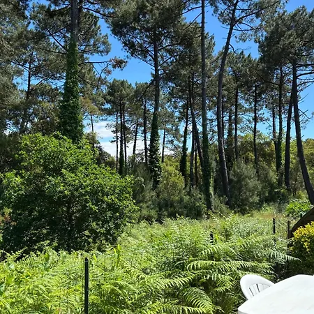 Patio, Vue Foret, A Pieds * Seignosse
